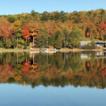 Lakeshore with fall colours